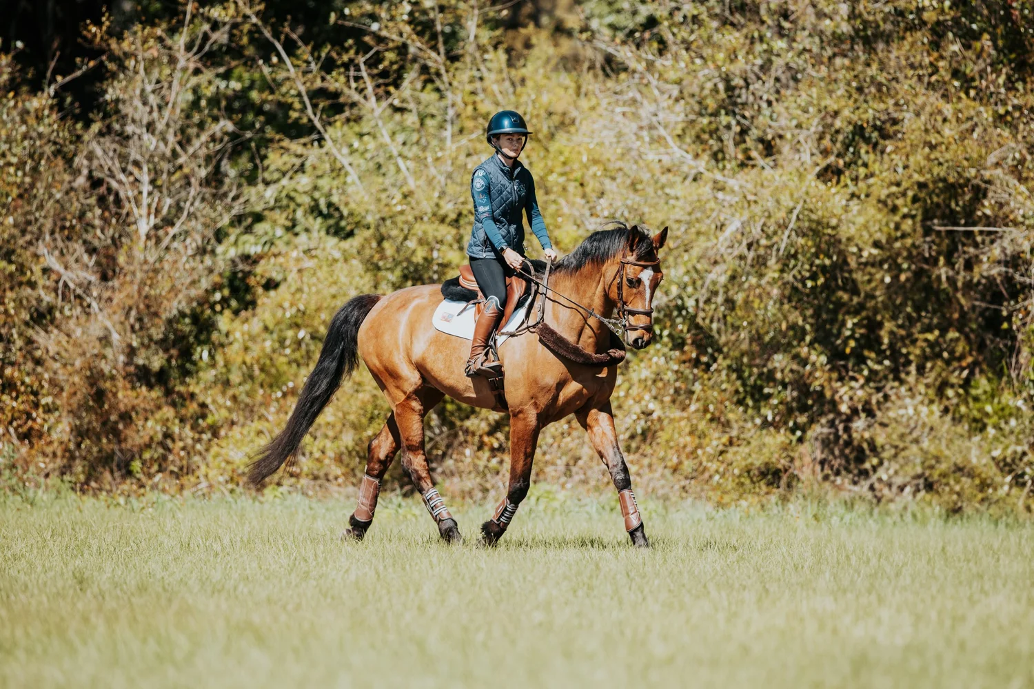Blue Moon Farm horses