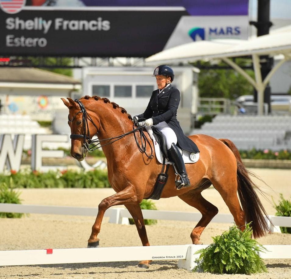 Shelly Francis dressage trainer Ocala