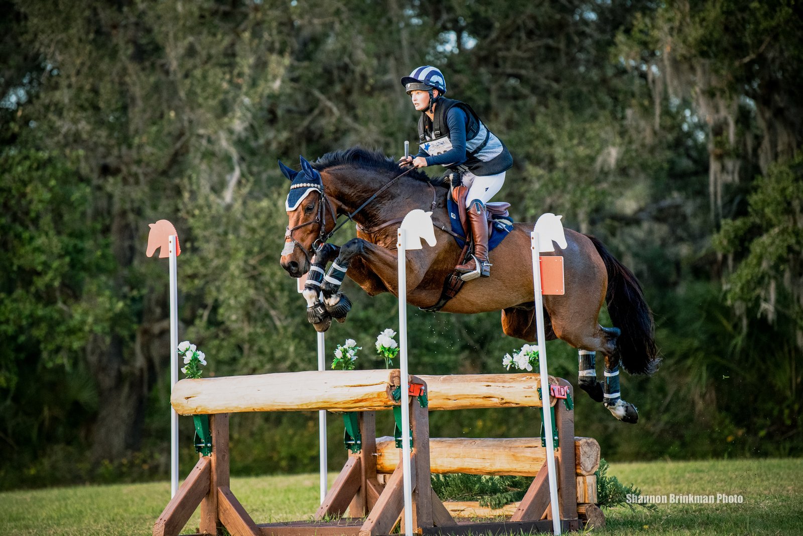 Victor BZ intermediate eventing horse
