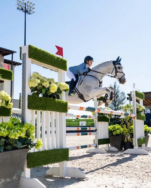 Monte Carlo OTTB eventing horse