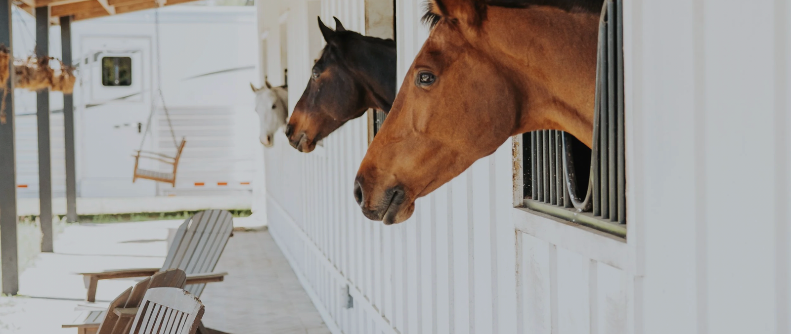 Blue Moon Farm European style horse stalls