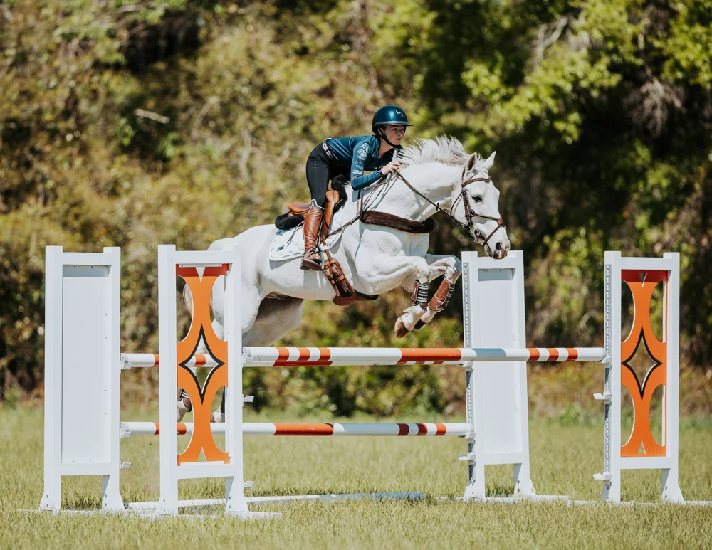 Eventing dressage phase