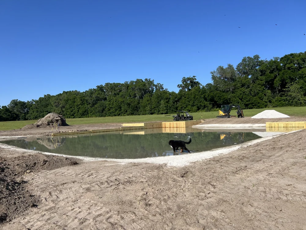 Cross country XC schooling field Ocala