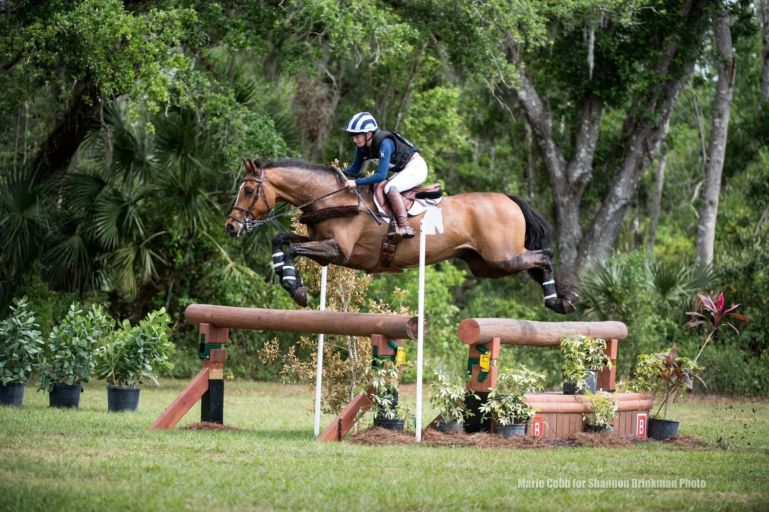 Rory Frangos competition