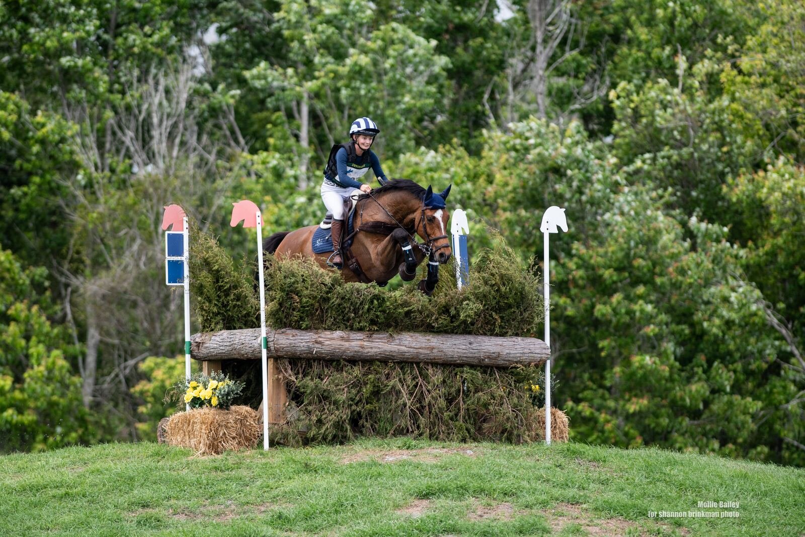 Rory Frangos eventing dressage competition