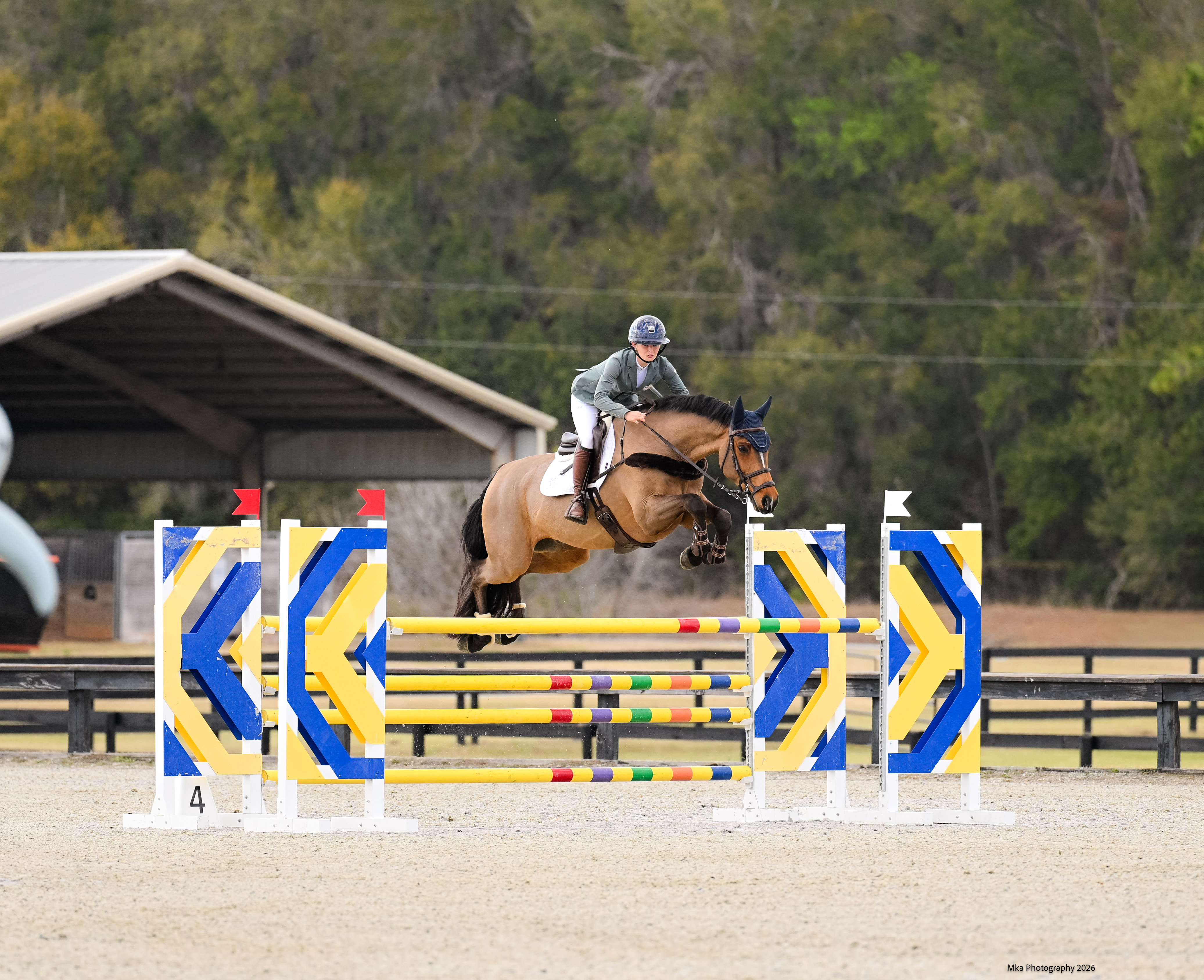 DHI Rocketman Elton John eventing horse