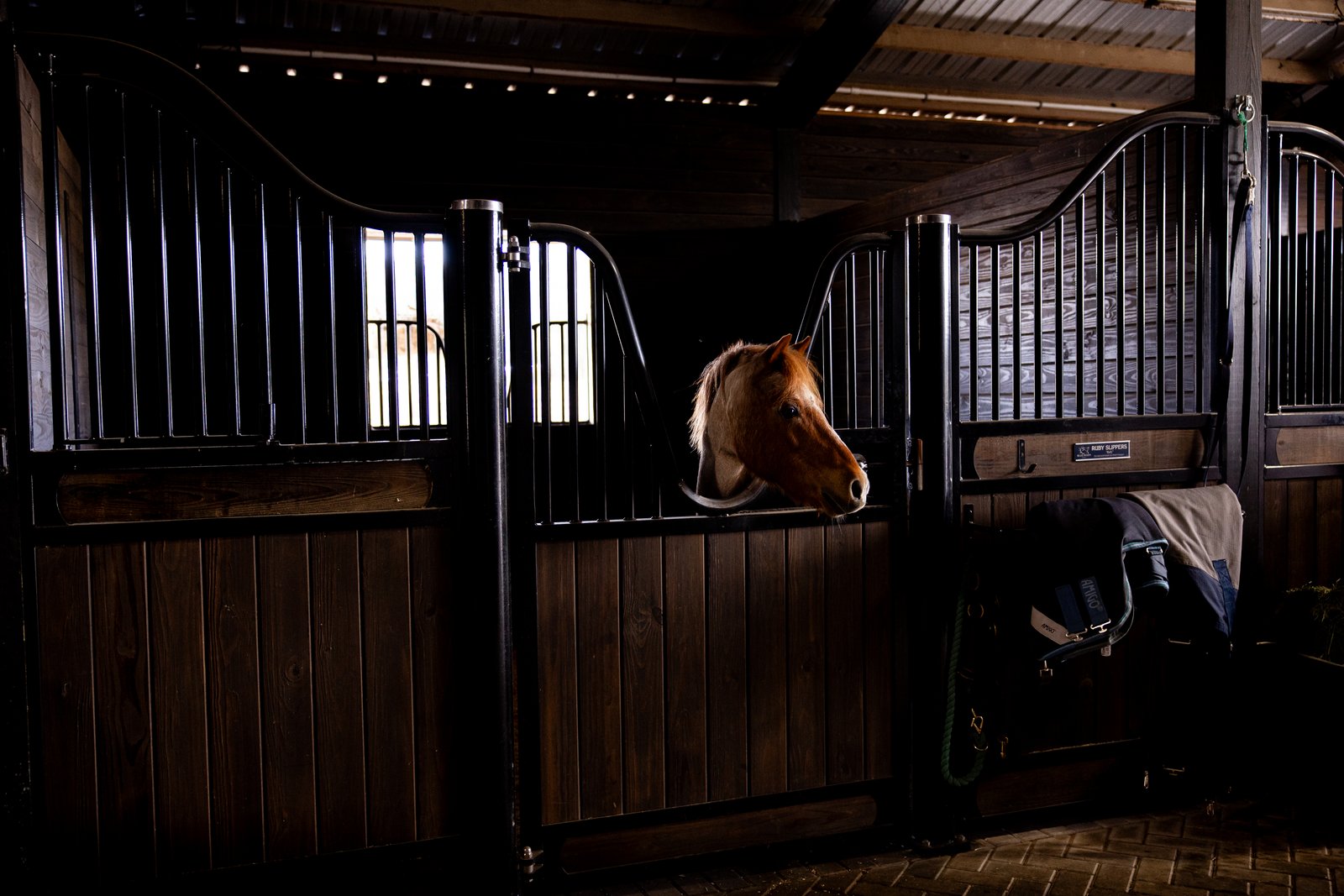 Luxury horse boarding Ocala Florida